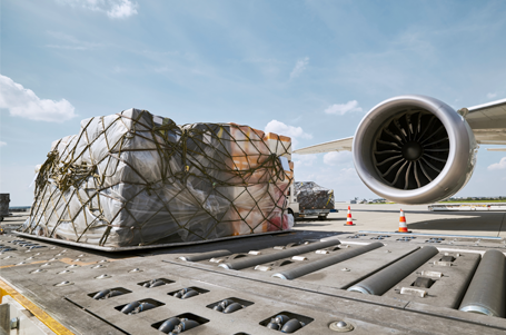 air transportation novalog